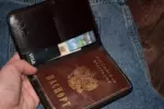 Документница классическая — изображение 11