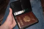 Документница классическая — изображение 9